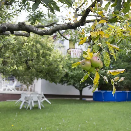 Homestay Haus Pelso Gyenesdias